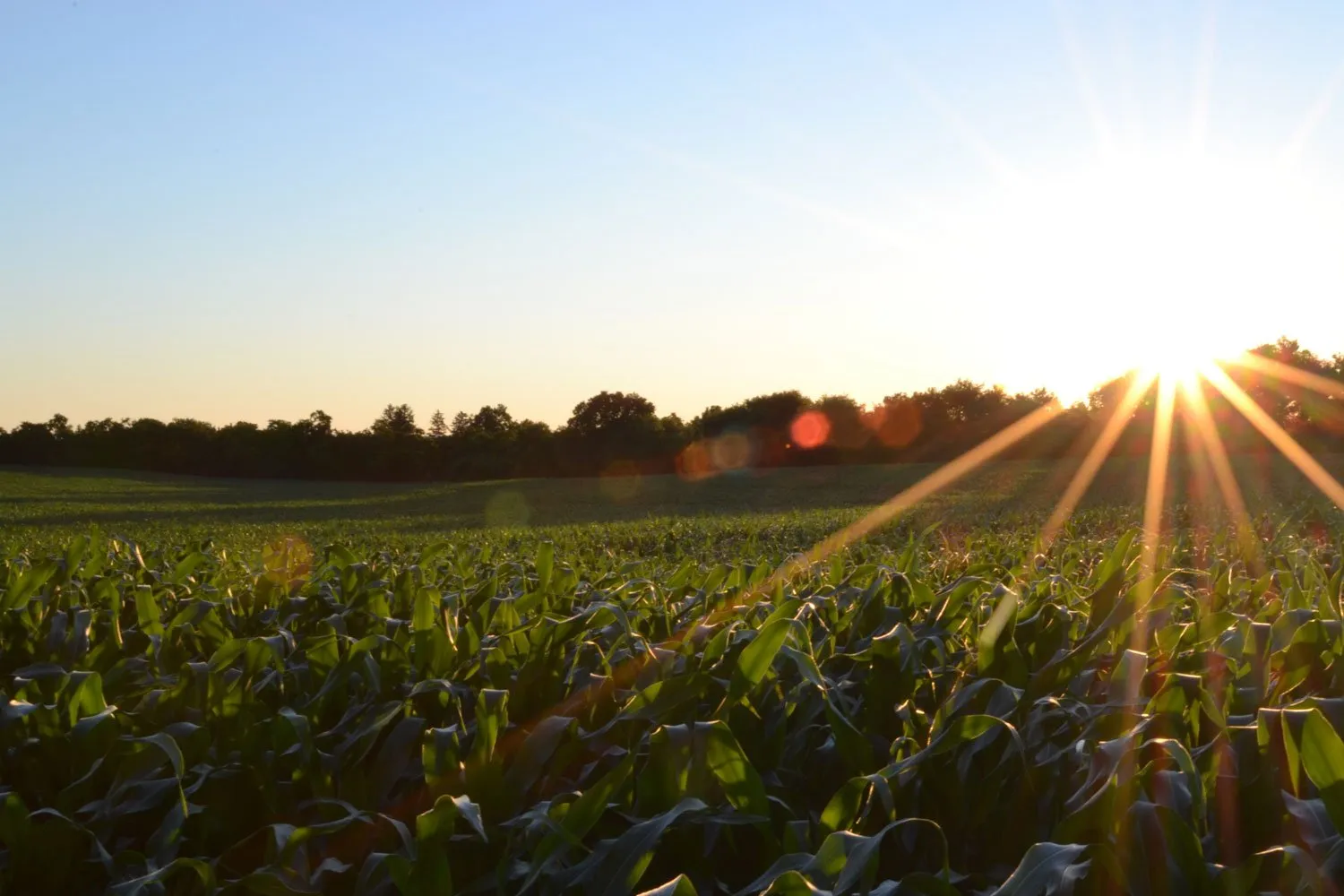 paraquat lawsuit