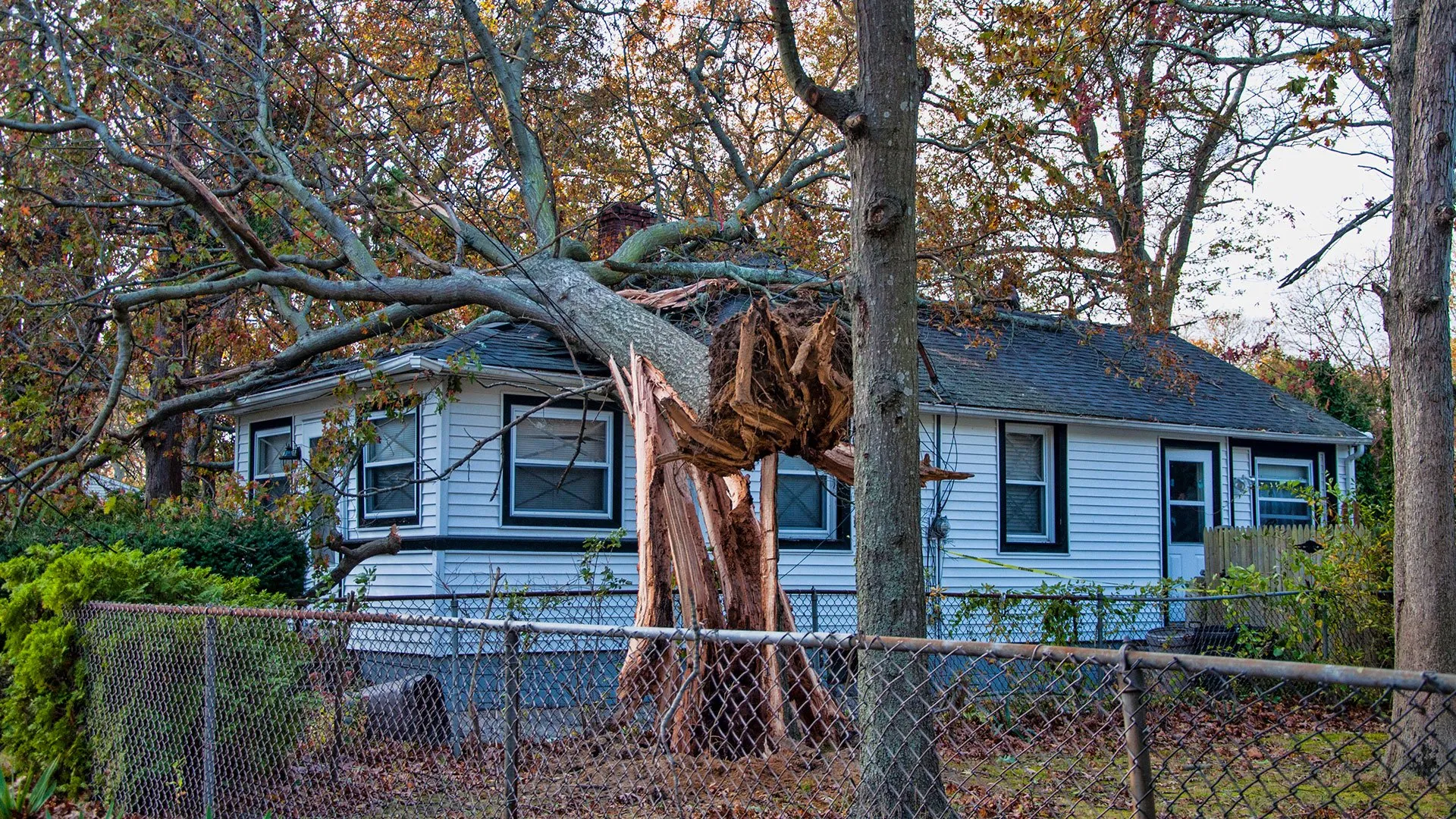 Storm Damage Claims