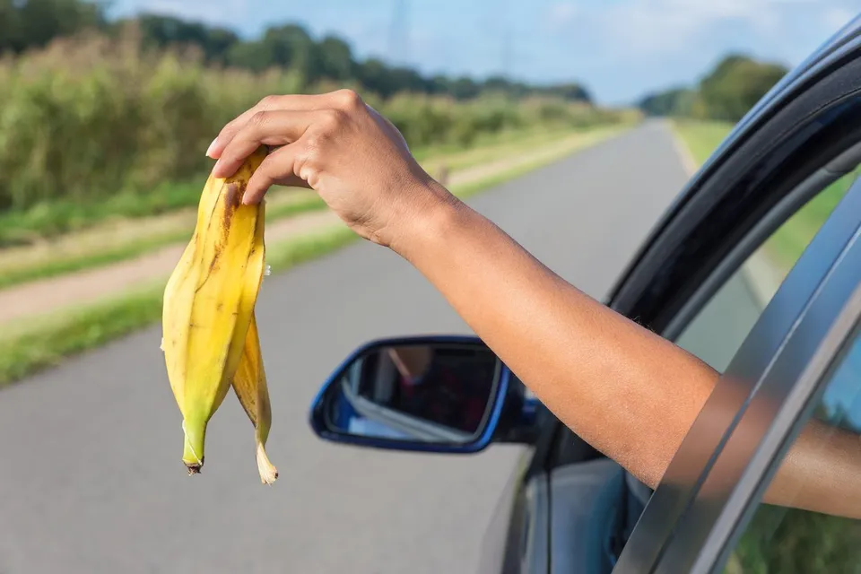 Road Debris: In the way on the way